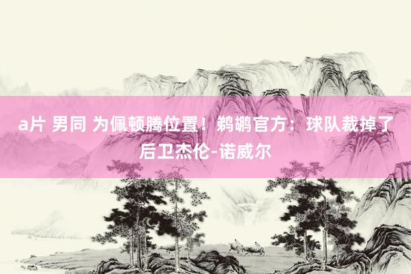 a片 男同 为佩顿腾位置！鹈鹕官方：球队裁掉了后卫杰伦-诺威尔
