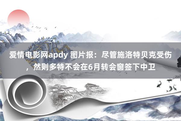 爱情电影网apdy 图片报：尽管施洛特贝克受伤，然则多特不会在6月转会窗签下中卫